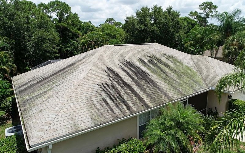What Are Those Black Streaks on My Roof